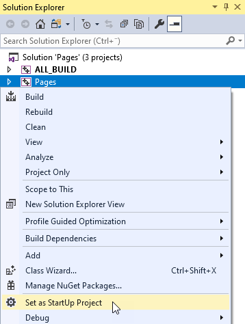 ../../_images/visual-studio-set-as-startup-project5.png