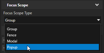 ../../_images/set-focus-scope-type.png