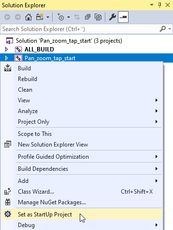 ../../_images/visual-studio-set-as-startup-project5.png