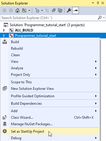 ../../_images/visual-studio-set-as-startup-project6.png