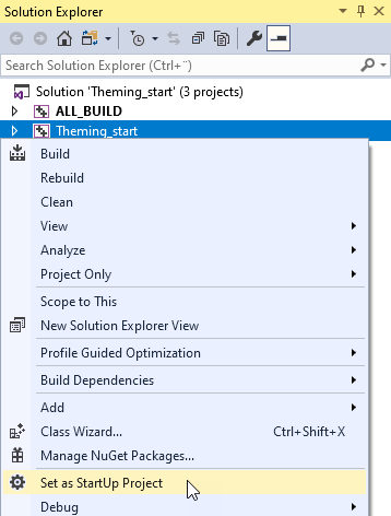 ../../_images/visual-studio-set-as-startup-project7.png