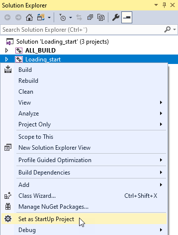 ../../_images/visual-studio-set-as-startup-project2.png