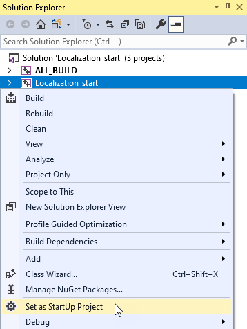 ../../_images/visual-studio-set-as-startup-project4.png