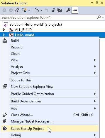 ../../_images/visual-studio-set-as-startup-project7.png