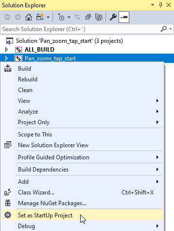 ../../_images/visual-studio-set-as-startup-project3.png
