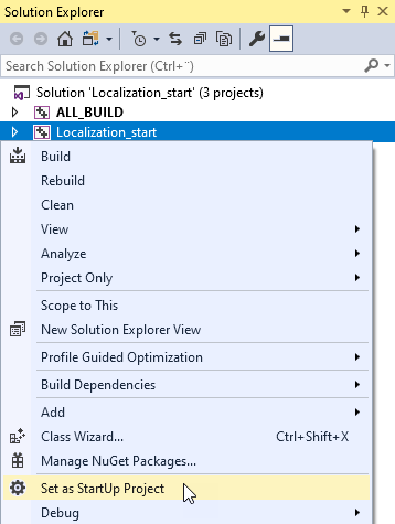 ../../_images/visual-studio-set-as-startup-project7.png