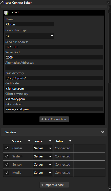 ../_images/services-in-kanzi-connect-editor.png
